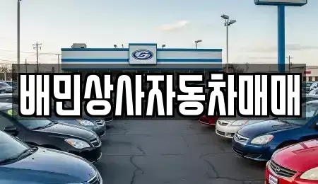 강원특별자치도 강릉시 중고차 전문 배민상사자동차매매