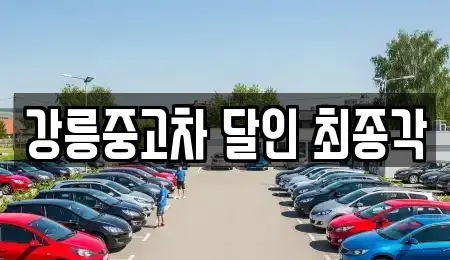 강원특별자치도 강릉시 학동 중고차 전문 강릉중고차 달인 최종각