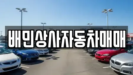 강원특별자치도 강릉시 학동 중고차 전문 배민상사자동차매매