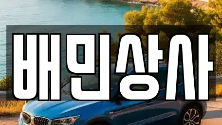 강원특별자치도 삼척시 남양동 중고차 전문 배민상사