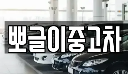 강원특별자치도 삼척시 남양동 중고차매매 전문 뽀글이중고차