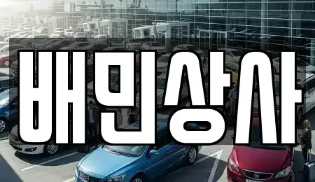 강원특별자치도 삼척시 읍상동 중고차매매 전문 배민상사
