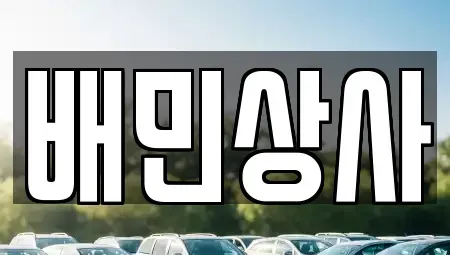 강원특별자치도 삼척시 자원동 중고차 전문 배민상사