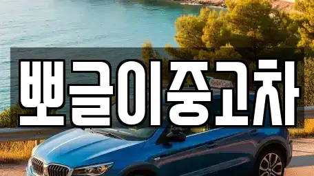 강원특별자치도 삼척시 자원동 중고차 전문 뽀글이중고차