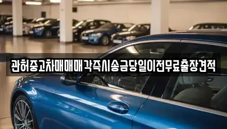 강원특별자치도 삼척시 하장면 중고차 전문 관허중고차매매매각즉시송금당일이전무료출장견적