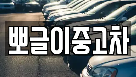 강원특별자치도 삼척시 하장면 중고차,렌트카,중고차매입,중고차매매,장기렌트카,단기렌트카