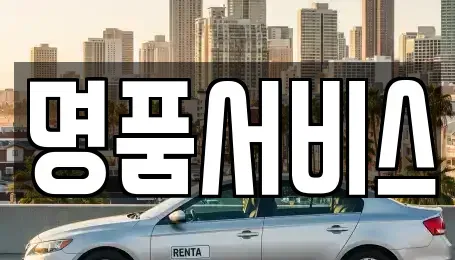 강원특별자치도 양구군 렌트카 전문 명품서비스