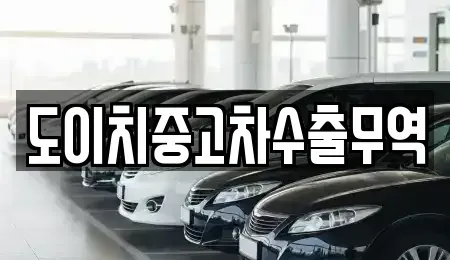 강원특별자치도 양구군 중고차매매 전문 도이치중고차수출무역