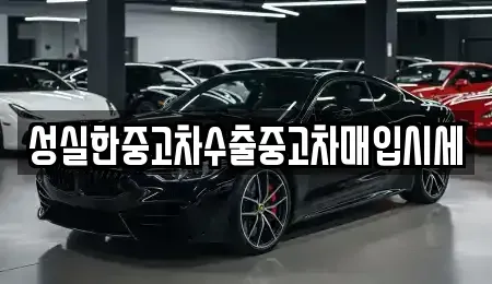 강원특별자치도 양구군 중고차매입 전문 성실한중고차수출중고차매입시세