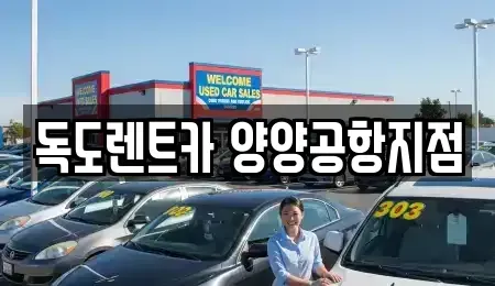 강원특별자치도 양양군 손양면 렌트카 전문 독도렌트카 양양공항지점