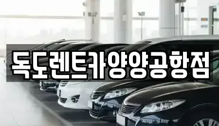 강원특별자치도 양양군 손양면 렌트카 전문 독도렌트카양양공항점