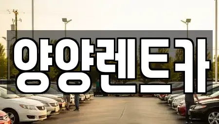 강원특별자치도 양양군 손양면 렌트카 전문 양양렌트카