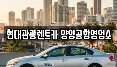 강원특별자치도 양양군 손양면 렌트카 전문 현대관광렌트카 양양공항영업소