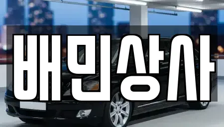강원특별자치도 양양군 손양면 중고차매매 전문 배민상사
