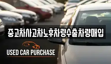 강원특별자치도 양양군 손양면 중고차매입 전문 중고차사고차노후차량수출차량매입