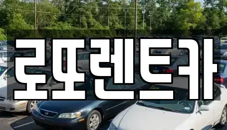 강원특별자치도 원주시 무실동 장기렌트카 전문 로또렌트카