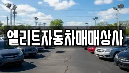 강원특별자치도 원주시 무실동 중고차 전문 엘리트자동차매매상사