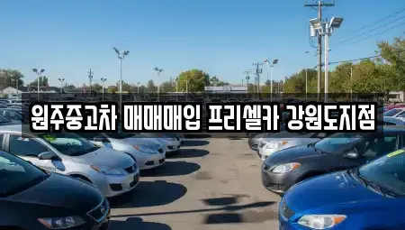 강원특별자치도 원주시 무실동 중고차 전문 원주중고차 매매매입 프리셀카 강원도지점