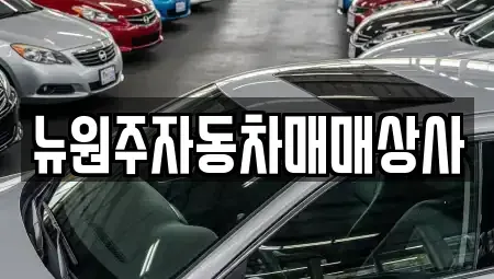 강원특별자치도 원주시 문막읍 중고차매매 전문 뉴원주자동차매매상사