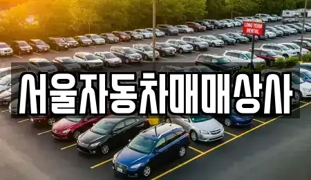 강원특별자치도 원주시 문막읍 중고차매매 전문 서울자동차매매상사