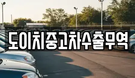 강원특별자치도 인제군 서화면 렌트카,단기렌트카,장기렌트카,중고차,중고차매매,중고차매입