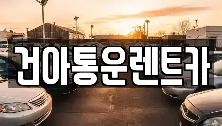 강원특별자치도 정선군 남면 렌트카 전문 건아통운렌트카