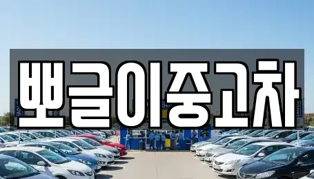강원특별자치도 정선군 남면 중고차 전문 뽀글이중고차