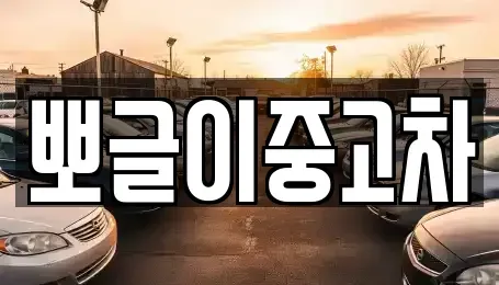 강원특별자치도 태백시 동점동 중고차매매 전문 뽀글이중고차