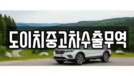 강원특별자치도 태백시 장성동 중고차 전문 도이치중고차수출무역
