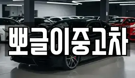 강원특별자치도 태백시 장성동 중고차 전문 뽀글이중고차