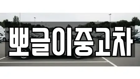 강원특별자치도 태백시 장성동 중고차 전문 뽀글이중고차