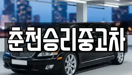 강원특별자치도 홍천군 북방면 중고차매매 전문 춘천승리중고차