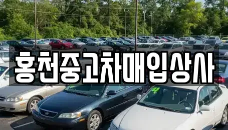 강원특별자치도 홍천군 북방면 단기렌트카,중고차매입,중고차매매,중고차,렌트카,장기렌트카