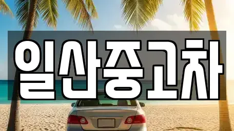 경기 고양시 덕양구 도내동 중고차 전문 일산중고차