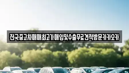 경기 고양시 덕양구 도내동 중고차 전문 전국중고차매매최고가매입및수출무료견적방문카카오카