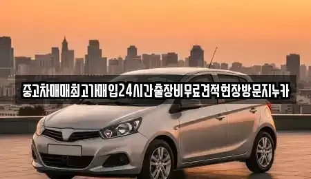 경기 고양시 덕양구 도내동 중고차매입 전문 중고차매매최고가매입24시간출장비무료견적현장방문지누카