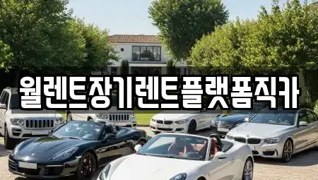 경기 고양시 덕양구 원당동 장기렌트카 전문 월렌트장기렌트플랫폼직카
