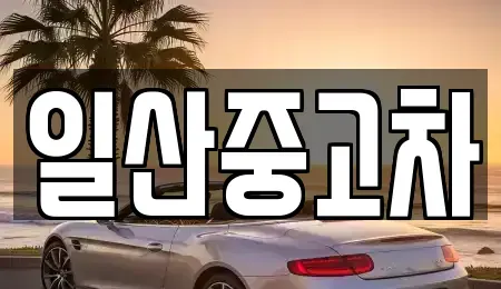 경기 고양시 덕양구 원당동 중고차매매 전문 일산중고차