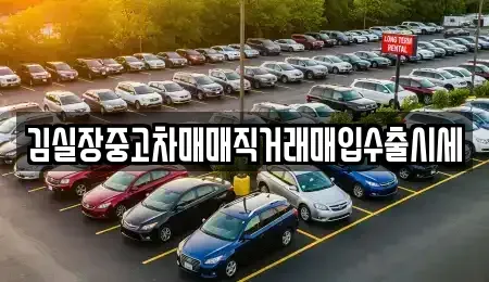 경기 고양시 덕양구 원당동 중고차매입 전문 김실장중고차매매직거래매입수출시세