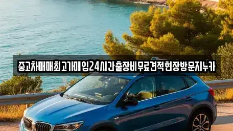 경기 고양시 덕양구 원당동 중고차매입 전문 중고차매매최고가매입24시간출장비무료견적현장방문지누카
