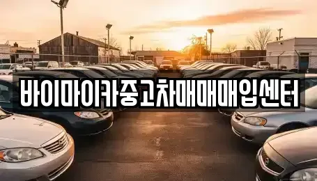 경기 고양시 일산동구 문봉동 중고차 전문 바이마이카중고차매매매입센터