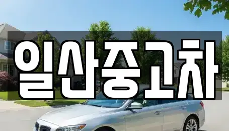 경기 고양시 일산동구 문봉동 중고차 전문 일산중고차