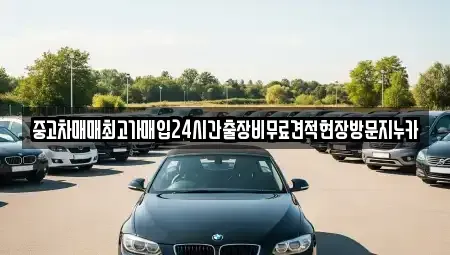 경기 고양시 일산동구 문봉동 중고차 전문 중고차매매최고가매입24시간출장비무료견적현장방문지누카