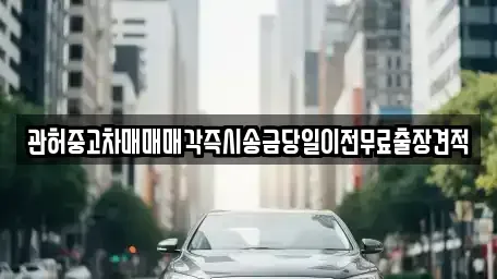 경기 고양시 일산동구 문봉동 중고차매매 전문 관허중고차매매매각즉시송금당일이전무료출장견적