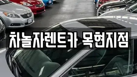 경기 광주시 목현동 렌트카 전문 차놀자렌트카 목현지점