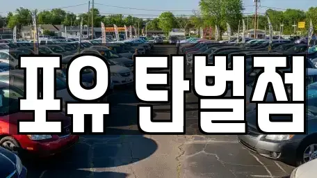 경기 광주시 목현동 렌트카 전문 포유 탄벌점