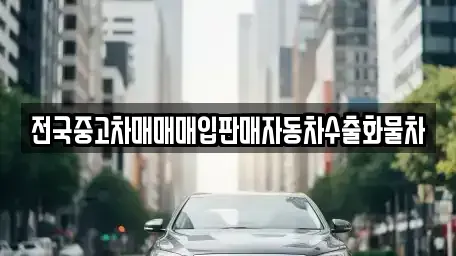 경기 광주시 목현동 중고차 전문 전국중고차매매매입판매자동차수출화물차