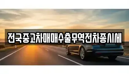 경기 광주시 목현동 중고차 전문 전국중고차매매수출무역전차종시세