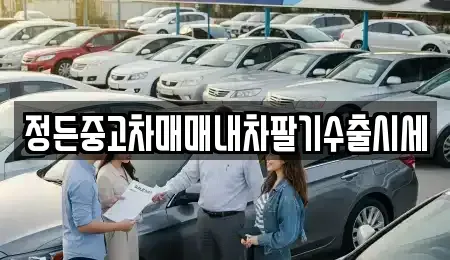 경기 광주시 목현동 중고차 전문 정든중고차매매내차팔기수출시세