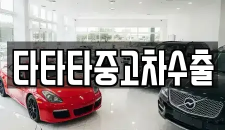 경기 광주시 목현동 중고차매매 전문 타타타중고차수출